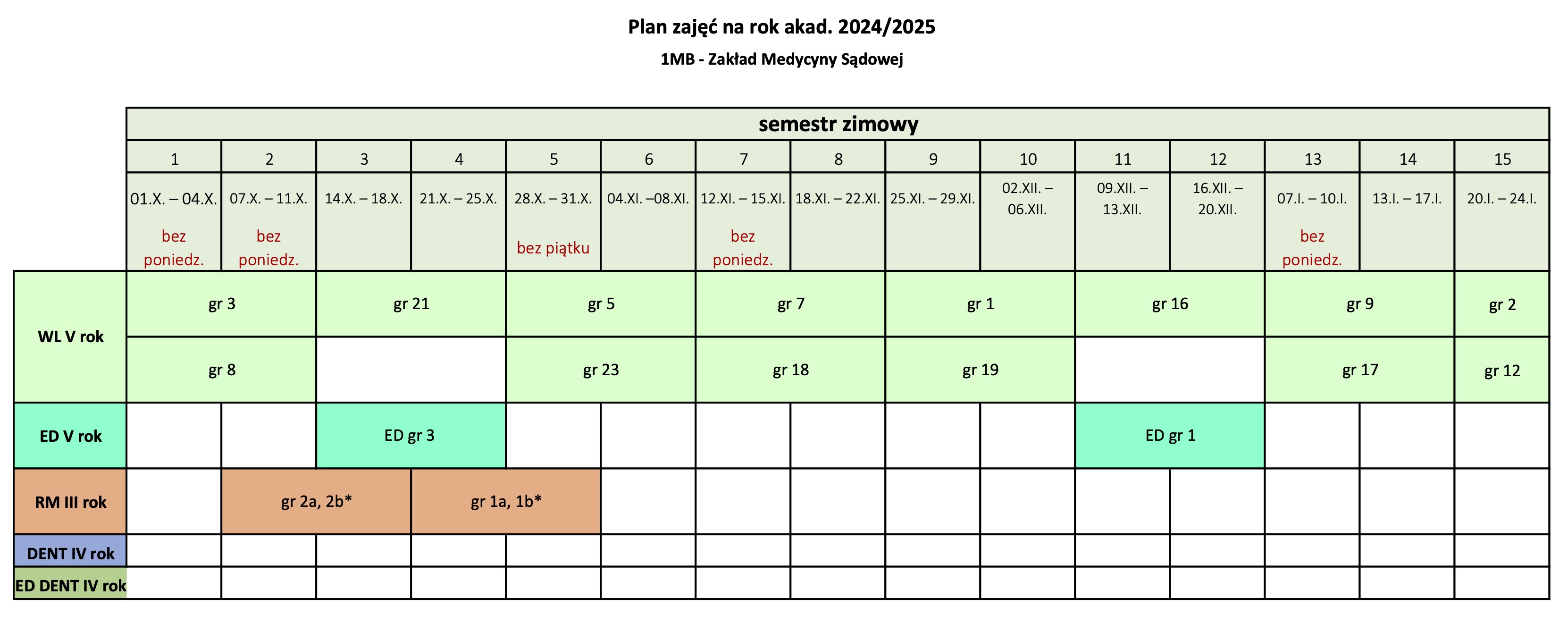 plan_MS_semestr zimowy 2024/25